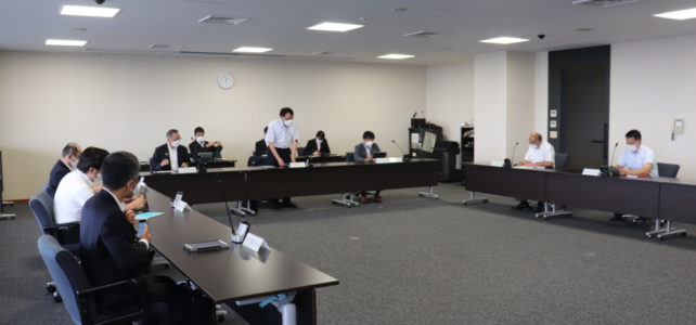 デジタル推進特別委員会（R4.8.25）