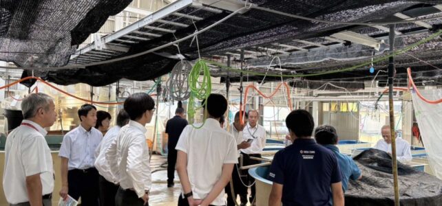 水産・漁業対策協議会(R7.8.22) 水産・漁業対策協議会(R7.8.22)